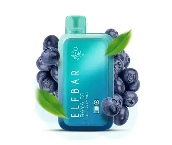 ELF BAR RAYA D1 Blueberry Mint